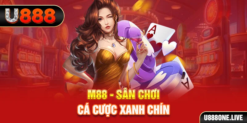 luck8882 gà chọi cậu thanh