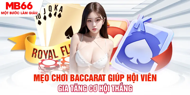 luck8882 đá gà 88