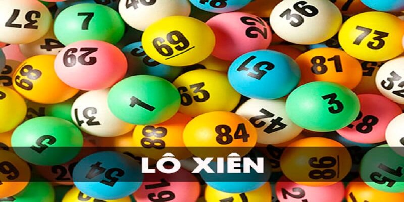 luck8882 what is a casino comp program