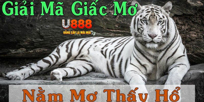 luck8882 xổ số kiến thiết miền bắc