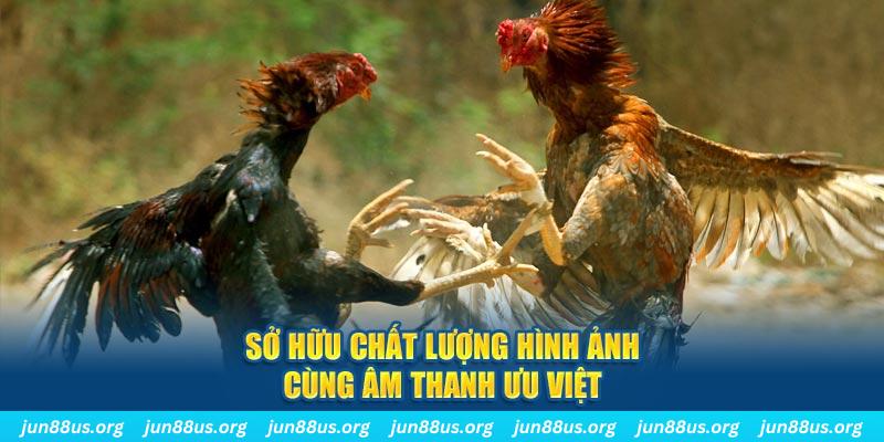 luck8882 tai game danh bai ve may tinh