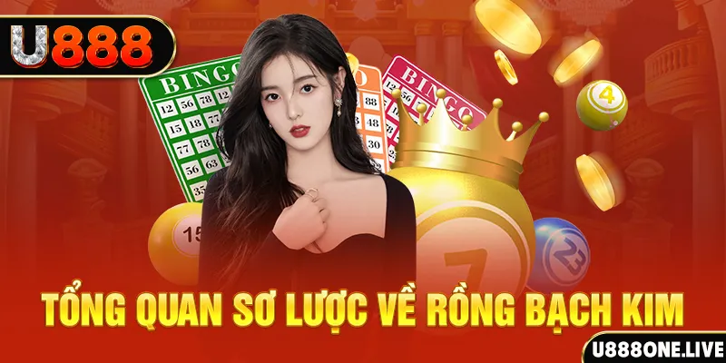 luck8882 nổ hũ ai là gì