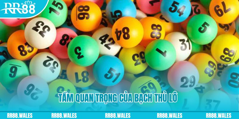 luck8882 đá gà trực tiếp casino