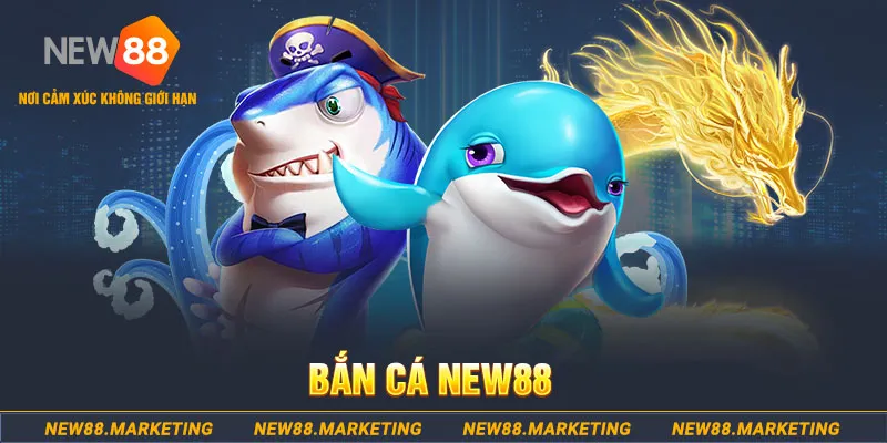 2 slot là gì