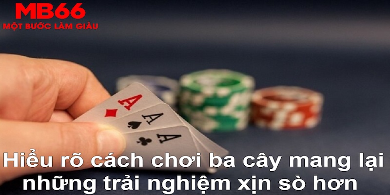luck8882 ÁT CHỦ BÀI GIÀNH LẤY ZHUANG NIUNIU ( XEM 3 LÁ )